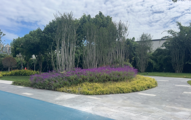 1761705474367053985.png 图片1_副本.png